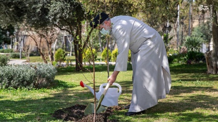 伊朗总统在“植树节”亲手种下一株果树苗