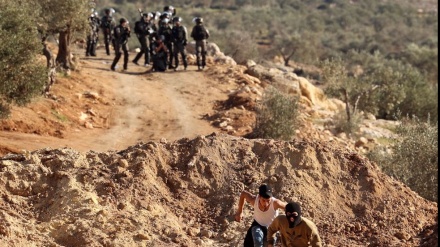 Israel wird das Naturschutzgebiet Jordantal in eine Siedlung verwandeln, sagt ein Beamter