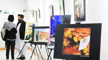  نمایشگاه مشترک عکس هنرمندان ایرانی و افغان در هرات 