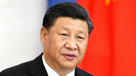 中国国家主席 : 中国愿扩大同太平洋岛国合作