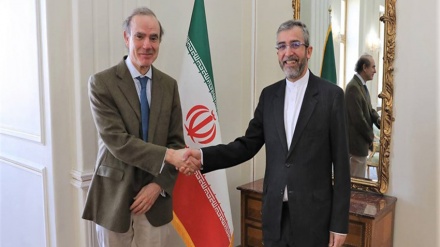 Wakil Menlu Iran Bertemu Pejabat Uni Eropa, Ini yang Dibahas