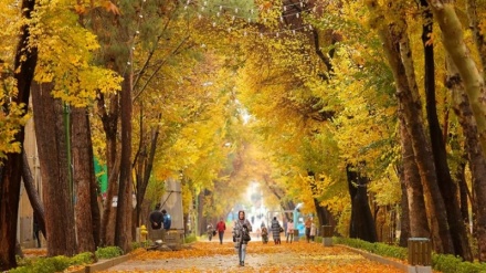 (FOTO) Iran da vedere, Chaharbagh di Isfahan -2