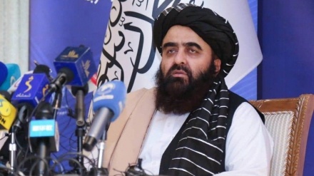 تلاش مقامات حکومت طالبان برای مبارزه با مواد مخدر