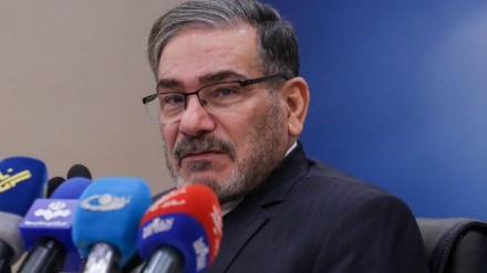 שמחאני: נמשיך את המשא ומתן בווינה עד להשגת הסכם טוב