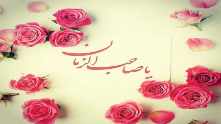 Tosə Zuhuri Cımə-96