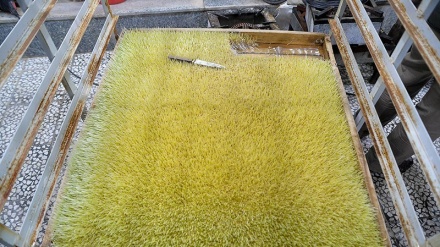 Samanu, Hidangan Perayaan Nowruz (1)