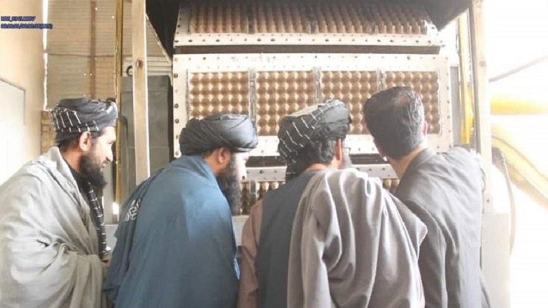 بهره برداری از کارخانه تولید شانه تخم مرغ در هرات