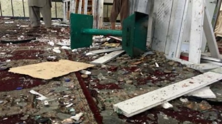   انفجار تروریستی در نماز جمعه ولایت پکتیا؛ 20 کشته و زخمی