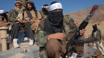 طالبان پاکستان: پرچم سفید خود را در  اسلام آباد عَلم می کنیم