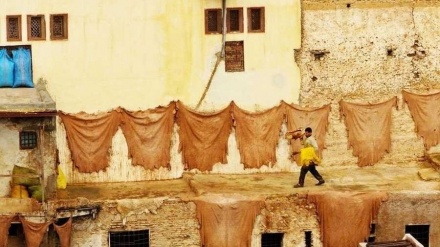 ペルシャ語ことわざ散歩（９8）「皮の行く先は皮なめし屋」