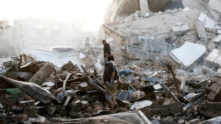 הערות על המלחמה בתימן בתחילת השנה השמינית