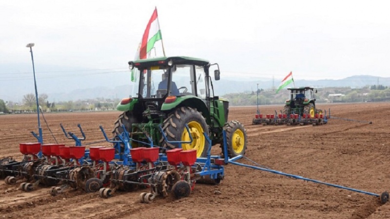 امسال کشاورزان تاجیک در زمینی به مساحت 186 هزار هکتار پنبه می کارند