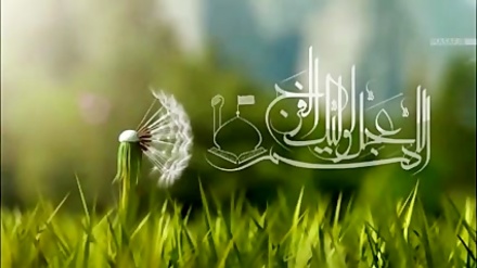 Tosə Zuhuri Cımə-93