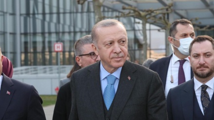 Erdoğan'ın NATO üyelerinden dayanışma talebi