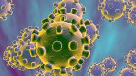 中国3月14日新型冠状病毒肺炎疫情最新情况