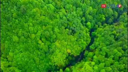 Mazandaran’ın Cevahirdeh bölgesinde doğa manzaraları