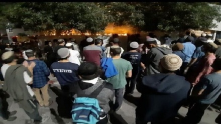 I coloni sionisti aumentano i livelli di aggressione e violenza in Cisgiordania