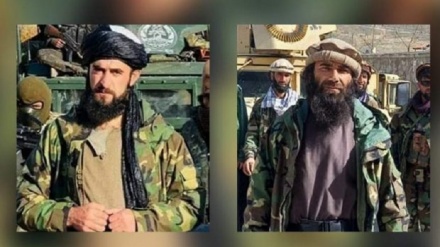 طالبان، فرمانده امنیتی جدیدی را در پنجشیر منصوب کرد