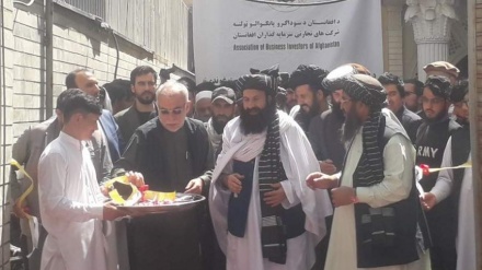 افتتاح اتحادیه شرکت‌های تجارتی سرمایه‌ گذاران در افغانستان