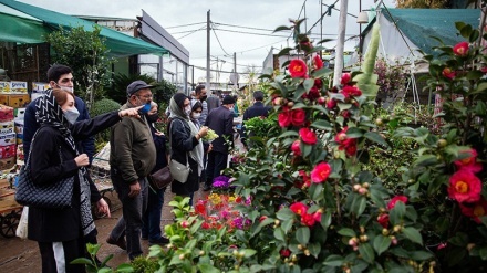 Pasar Bunga dan Tanaman di Tehran (1)