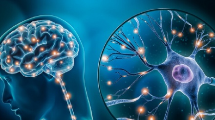 Neuroni artificiali travestiti per ingannare il cervello