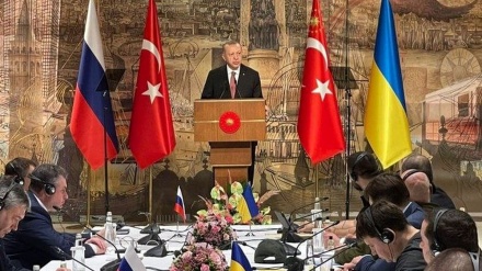 Pembicaraan Istanbul dan Penekanan pada Keanggotaan Ukraina di Uni Eropa