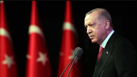Erdoğan, Avusturya Cumhurbaşkanı Van der Bellen ile görüştü