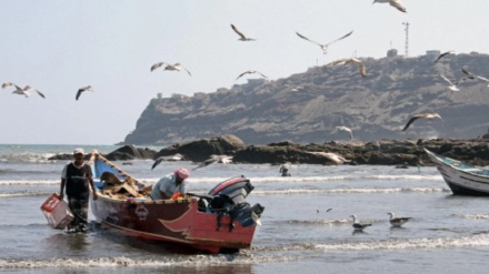 The Yemeni fishermen risking everything to feed their families