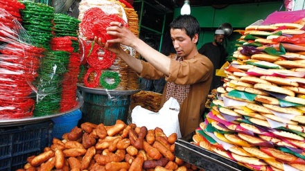 سایه مستدام نوروز بر سر افغانستان، سبز است