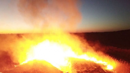 Ucraina: sotto controllo incendio vicino Chernobyl