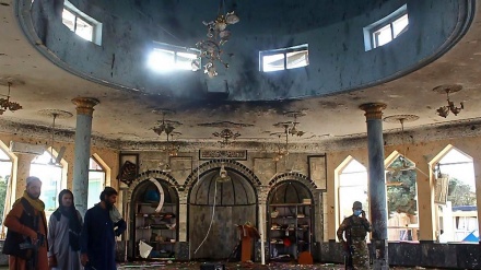 Serangan Bom Bunuh Diri di Masjid Syiah Pakistan