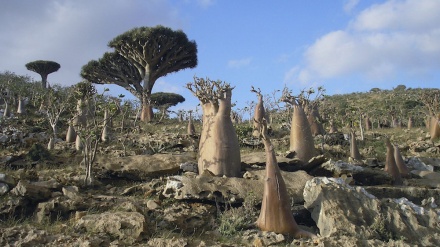 Report: UAE constructing settlement on Yemen’s Socotra Island to accommodate Israeli forces
