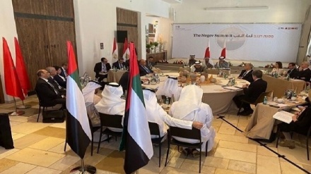 Pertemuan Negev; Tujuan dan Hasilnya