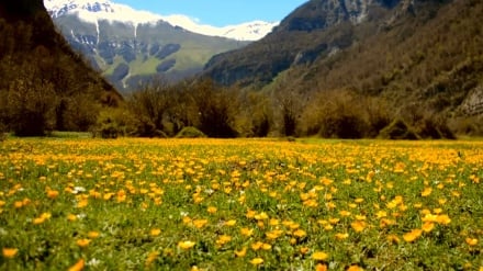 北部マーザンダラーン州のダルヤーサル平原