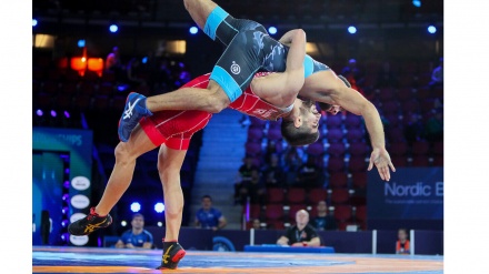 伊朗4名古典式摔跤选手晋级亚锦赛决赛