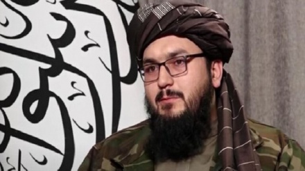 وزارت دفاع طالبان خطاب به پاکستان: افغان ها را نیازمایید