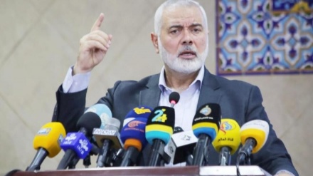 哈马斯领导人哈尼亚：巴勒斯坦人民捍卫伊斯兰教圣地