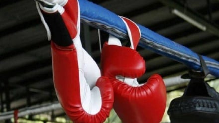 Ադրբեջանը ներկայացնող բռնցքամարտիկները չեն մասնակցի Երևանում կայանալիք առաջնությանը