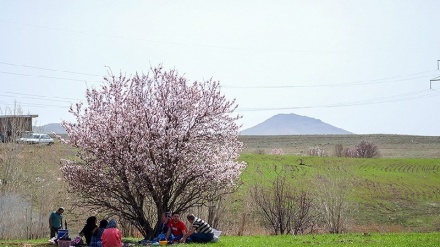 (FOTO DEL GIORNO) Il Giorno della natura a Shiraz