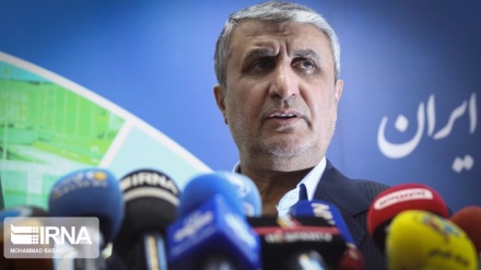 Iran won't abandon nuclear goals in face of Israel, others’ alarmism: Nuclear chief