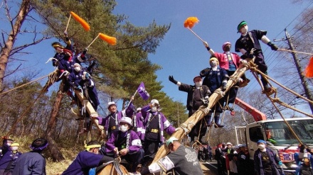 長野・諏訪大社の御柱祭が開幕、感染対策で初めてトレーラーを使用