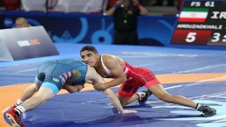 Iran wins three golds at Asian Freestyle Wrestling Championships