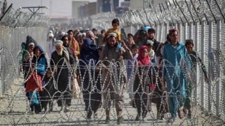 در خواست آمریکا از پاکستان: پناهجویان متقاضی ویزای آمریکا را اخراج نکنید