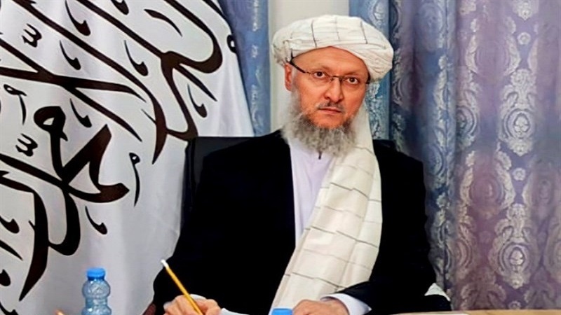 حنفی: سازمان ملل متحد با حکومت طالبان همکاری لازم را انجام نمی‌دهد
