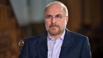 Kalibaf: Palestina është çështja numër një në botën islame