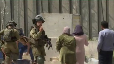 Сионистик режим; босиб олинган ҳудудлардаги тартибсизликларнинг асосий сабаби