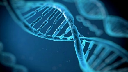 DNA, completata la mappa del genoma umano