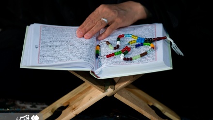 (FOTO) Lettura del Corano presso santuario Shah Abdol-Azim - 2