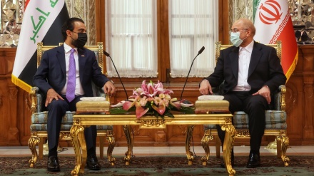 دیدار رئیس مجلس عراق با قالیباف 