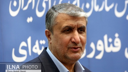 वियेना वार्ता में तकनीकी मुद्दों पर बहस पूरी, केवल राजनैतिक विषयों को अंतिम रूप देना शेष